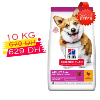 Hill’s Science Plan Aliment Pour Chien Adulte Small and Mini Au Poulet 10kg Promo — Petzy.ma Maroc