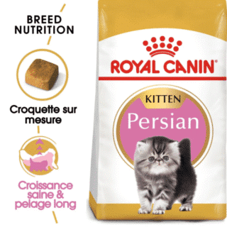Royal Canin Persan Kitten - 2 Kg — Petzy.ma Maroc