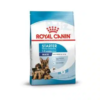 Royal Canin Maxi Starter 4kg – Croquettes Chiot Grande Taille & Maman — Petzy.ma Maroc