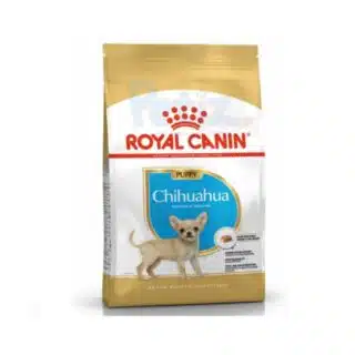 Royal Canin Chihuahua Puppy – Croquettes Chiots Spécifiques | 1,5 kg — Petzy.ma Maroc
