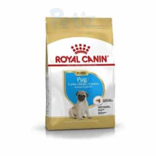 Royal Canin Pug Carlin Puppy Junior – Croquettes pour Chiots en Croissance – 1,5 kg — Petzy.ma Maroc