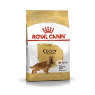 Royal Canin Cocker Adulte : Spécial Peau, Pelage & Articulations | 3 kg — Petzy.ma Maroc