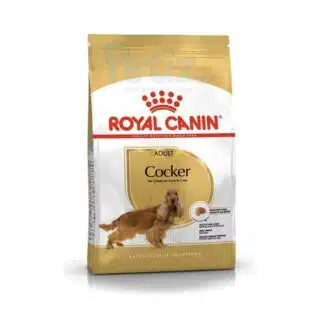 Royal Canin Cocker Adulte : Spécial Peau, Pelage & Articulations | 3 kg — Petzy.ma Maroc