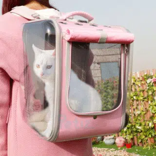 Grand Sac À Dos De Transport Pour Chat — Petzy.ma Maroc