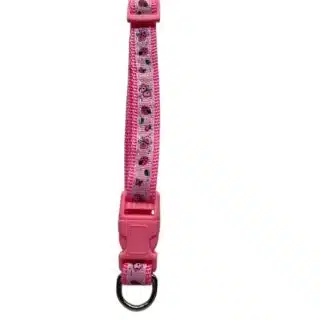 Collier pour chats et chiens — Petzy.ma Maroc