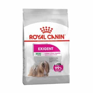 Royal Canin Mini Exigent 3kg — Petzy.ma Maroc