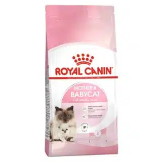 Royal Canin Mother & Babycat 2 Kg | 4 Kg — Petzy.ma Maroc
