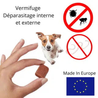 Comprimés Anti-Puces & Vermifuge Complet pour Chiens — Petzy.ma Maroc