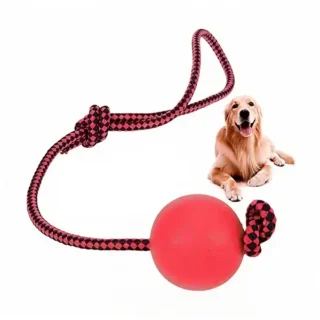 Balle de Dressage Chien avec Laisse - Jouet Interactif — Petzy.ma Maroc