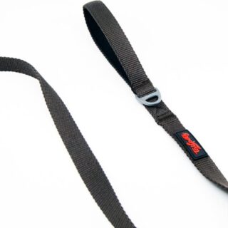 Laisse Brown Match pour Animaux Petzy — Petzy.ma Maroc