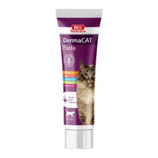 Derma Cat – Pelage brillant et sain – Bio PetActive 100ml — Petzy.ma Maroc