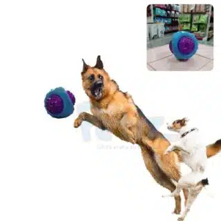 Balle LED Dentaire pour Chien - Jeu & Soin des Gencives — Petzy.ma Maroc