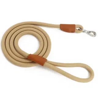 Laisse Robuste pour Grand Chien - Sécurité & Confort — Petzy.ma Maroc