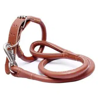 Ensemble de colliers et laisse en Cuir de haute qualité pour Chien — Petzy.ma Maroc