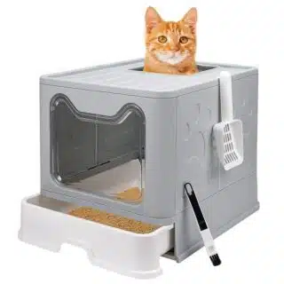 Maison de Toilette Pliable CleanCat avec Sortie Supérieure — Petzy.ma Maroc