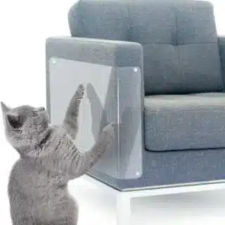 Protection Anti Griffes Fauteuil Housse pour Meubles Canapé et Chaise — Petzy.ma Maroc