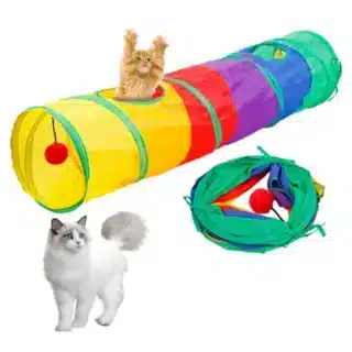 Tunnel de Jeu pour Chat Pliable – Jouet Léger, Durable et Portable — Petzy.ma Maroc