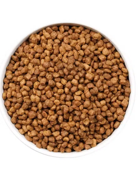 Ownat® Ultra KITTEN – Chaton 4 Ownat Ultra KITTEN – Chaton — Petzy.ma Maroc