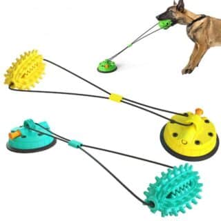 Jouet Molaire pour Chien avec Ventouse Ultra-Résistante — Petzy.ma Maroc