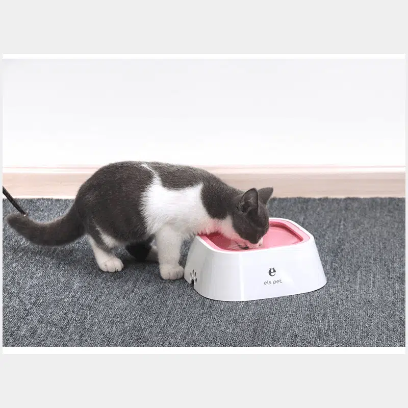 Gamelle Flottante Anti-Éclaboussures pour Chiens et Chats 1L 4 Gamelle Flottante Anti-Éclaboussures pour Chiens et Chats 1L — Petzy.ma Maroc