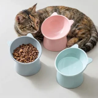 Gamelle Surélevée Inclinée pour Chat – Confort et Digestion Optimale — Petzy.ma Maroc