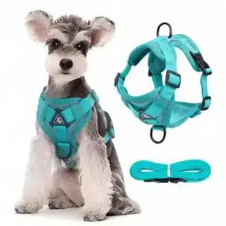 Harnais Premium pour Chien et Chat – Élégant, Confortable et Ajustable