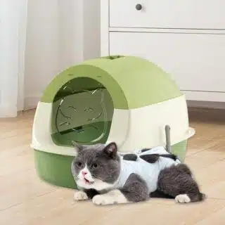 Litière pour chat avec protection de l’intimité – Vert – Modèle Generic