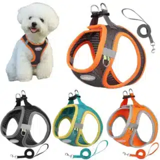 Ensemble Harnais & Laisse pour Petit Chien – Gilet Respirant & Réglable
