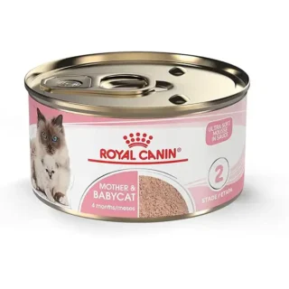 Royal Canin Mother & Babycat – Mousse pour Chatte & Chaton — Petzy.ma Maroc