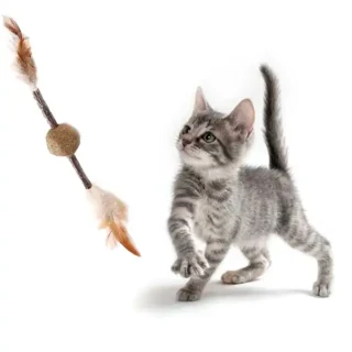 Bâton d'Herbe à Chat Matatabi - Jouet Dentaire Naturel — Petzy.ma Maroc